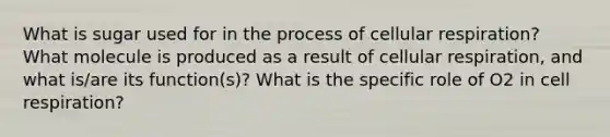 What is sugar used for in the process of cellular respiration? What molecule is produced as a result of cellular respiration, and what is/are its function(s)? What is the specific role of O2 in cell respiration?