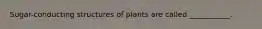 Sugar-conducting structures of plants are called ___________.