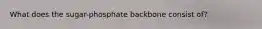 What does the sugar-phosphate backbone consist of?