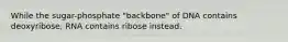 While the sugar-phosphate "backbone" of DNA contains deoxyribose, RNA contains ribose instead.