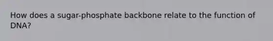 How does a sugar-phosphate backbone relate to the function of DNA?