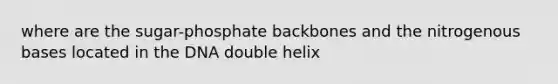 where are the sugar-phosphate backbones and the nitrogenous bases located in the DNA double helix