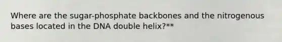 Where are the sugar-phosphate backbones and the nitrogenous bases located in the DNA double helix?**