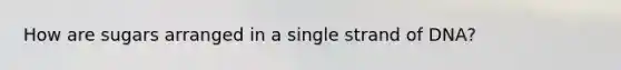 How are sugars arranged in a single strand of DNA?