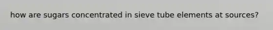 how are sugars concentrated in sieve tube elements at sources?