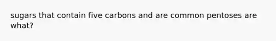 sugars that contain five carbons and are common pentoses are what?