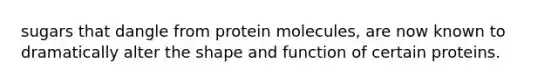 sugars that dangle from protein molecules, are now known to dramatically alter the shape and function of certain proteins.