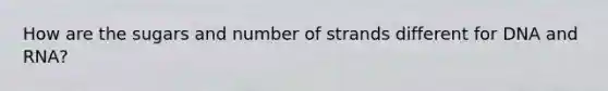 How are the sugars and number of strands different for DNA and RNA?