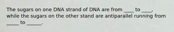 The sugars on one DNA strand of DNA are from ____ to ____, while the sugars on the other stand are antiparallel running from _____ to ______.