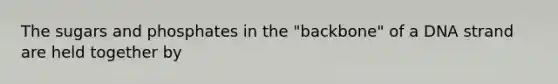 The sugars and phosphates in the "backbone" of a DNA strand are held together by