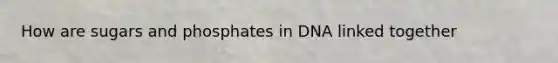 How are sugars and phosphates in DNA linked together