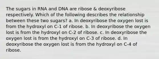 The sugars in RNA and DNA are ribose & deoxyribose respectively. Which of the following describes the relationship between these two sugars? a. In deoxyribose the oxygen lost is from the hydroxyl on C-1 of ribose. b. In deoxyribose the oxygen lost is from the hydroxyl on C-2 of ribose. c. In deoxyribose the oxygen lost is from the hydroxyl on C-3 of ribose. d. In deoxyribose the oxygen lost is from the hydroxyl on C-4 of ribose.