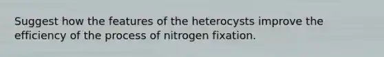 Suggest how the features of the heterocysts improve the efficiency of the process of nitrogen fixation.