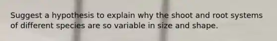 Suggest a hypothesis to explain why the shoot and root systems of different species are so variable in size and shape.