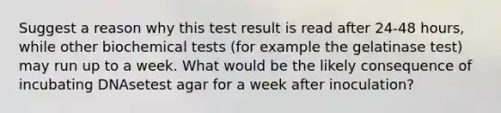 Suggest a reason why this test result is read after 24-48 hours, while other biochemical tests (for example the gelatinase test) may run up to a week. What would be the likely consequence of incubating DNAsetest agar for a week after inoculation?