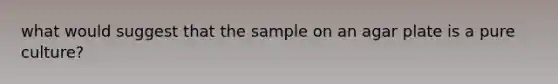 what would suggest that the sample on an agar plate is a pure culture?