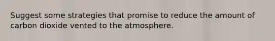 Suggest some strategies that promise to reduce the amount of carbon dioxide vented to the atmosphere.