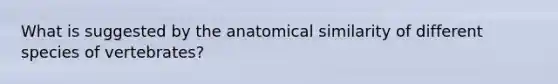 What is suggested by the anatomical similarity of different species of vertebrates?