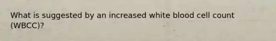 What is suggested by an increased white blood cell count (WBCC)?