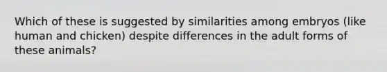 Which of these is suggested by similarities among embryos (like human and chicken) despite differences in the adult forms of these animals?