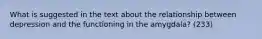 What is suggested in the text about the relationship between depression and the functioning in the amygdala? (233)