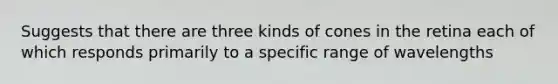 Suggests that there are three kinds of cones in the retina each of which responds primarily to a specific range of wavelengths