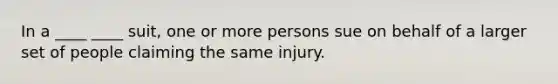 In a ____ ____ suit, one or more persons sue on behalf of a larger set of people claiming the same injury.