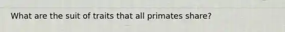 What are the suit of traits that all primates share?