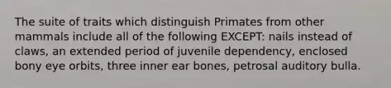 The suite of traits which distinguish Primates from other mammals include all of the following EXCEPT: nails instead of claws, an extended period of juvenile dependency, enclosed bony eye orbits, three inner ear bones, petrosal auditory bulla.