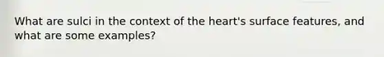What are sulci in the context of the heart's surface features, and what are some examples?