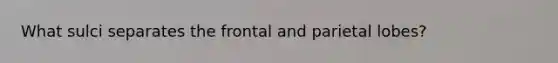 What sulci separates the frontal and parietal lobes?