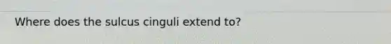 Where does the sulcus cinguli extend to?