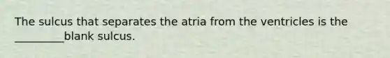 The sulcus that separates the atria from the ventricles is the _________blank sulcus.