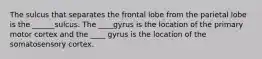 The sulcus that separates the frontal lobe from the parietal lobe is the ______sulcus. The ____gyrus is the location of the primary motor cortex and the ____ gyrus is the location of the somatosensory cortex.