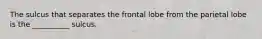 The sulcus that separates the frontal lobe from the parietal lobe is the __________ sulcus.