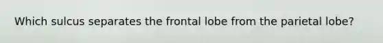 Which sulcus separates the frontal lobe from the parietal lobe?