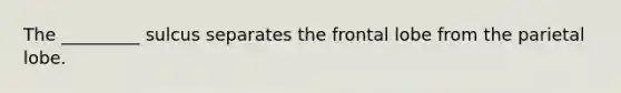 The _________ sulcus separates the frontal lobe from the parietal lobe.