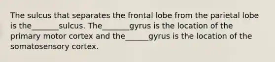 The sulcus that separates the frontal lobe from the parietal lobe is the_______sulcus. The_______gyrus is the location of the primary motor cortex and the______gyrus is the location of the somatosensory cortex.