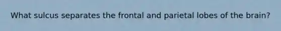 What sulcus separates the frontal and parietal lobes of the brain?