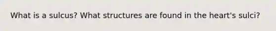 What is a sulcus? What structures are found in the heart's sulci?