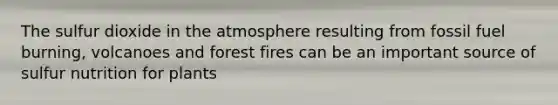 The sulfur dioxide in the atmosphere resulting from fossil fuel burning, volcanoes and forest fires can be an important source of sulfur nutrition for plants