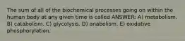 The sum of all of the biochemical processes going on within the human body at any given time is called ANSWER: A) metabolism. B) catabolism. C) glycolysis. D) anabolism. E) oxidative phosphorylation.