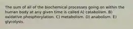 The sum of all of the biochemical processes going on within the human body at any given time is called A) catabolism. B) oxidative phosphorylation. C) metabolism. D) anabolism. E) glycolysis.