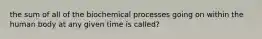 the sum of all of the biochemical processes going on within the human body at any given time is called?