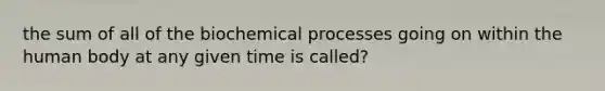 the sum of all of the biochemical processes going on within the human body at any given time is called?