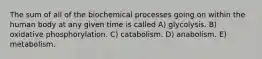 The sum of all of the biochemical processes going on within the human body at any given time is called A) glycolysis. B) oxidative phosphorylation. C) catabolism. D) anabolism. E) metabolism.