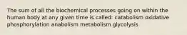 The sum of all the biochemical processes going on within the human body at any given time is called: catabolism oxidative phosphorylation anabolism metabolism glycolysis