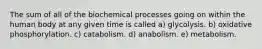 The sum of all of the biochemical processes going on within the human body at any given time is called a) glycolysis. b) oxidative phosphorylation. c) catabolism. d) anabolism. e) metabolism.