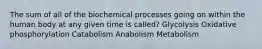 The sum of all of the biochemical processes going on within the human body at any given time is called? Glycolysis Oxidative phosphorylation Catabolism Anabolism Metabolism