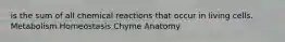 is the sum of all chemical reactions that occur in living cells. Metabolism Homeostasis Chyme Anatomy